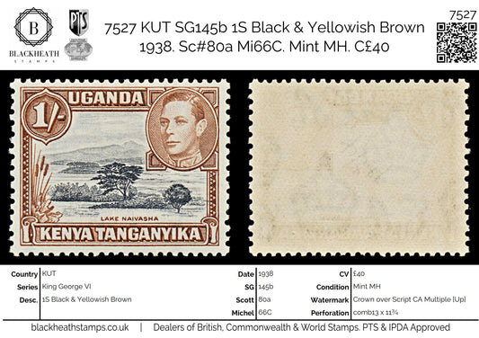 7527 KUT SG145 1S Black & Yellowish Brown 1938. Sc#80 Mi66A. Mint MH. C£40