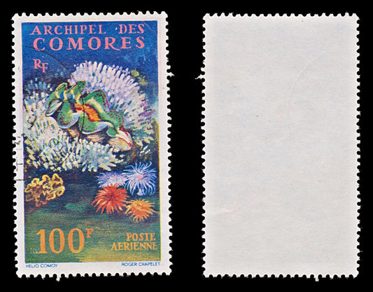 7807 Comoros SG29 100F Sealife 1962. Sc#C5 Mi50. Used. C£14