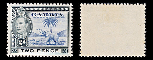7993: Gambia SG153 2d Blue & Black 1938 Sc#135 Mi127 Mint MLH C£15