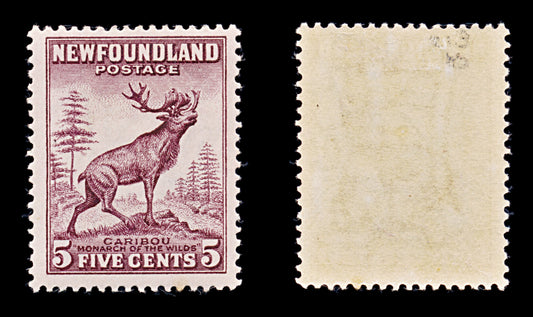 8261: Newfoundland SG213 5c Maroon 1932 Sc#190 Mi176A Mint MLH C£40