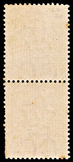 5731 Natal SG66 1d Rose. Vert. Pair 1874. Sc#51 Mi28 MNH Mint. C£140