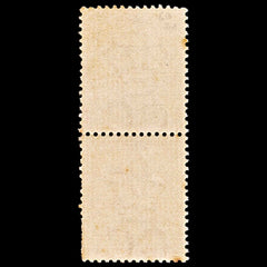 5731 Natal SG66 1d Rose. Vert. Pair 1874. Sc#51 Mi28 MNH Mint. C£140, view 4