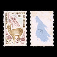 5988 French Somaliland SG459 50f "Oreotrague" 1962. Sc#292 Mi341 Used. C£12, view 2