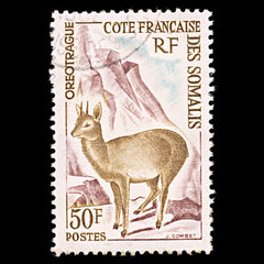 5988 French Somaliland SG459 50f "Oreotrague" 1962. Sc#292 Mi341 Used. C£12, view 3