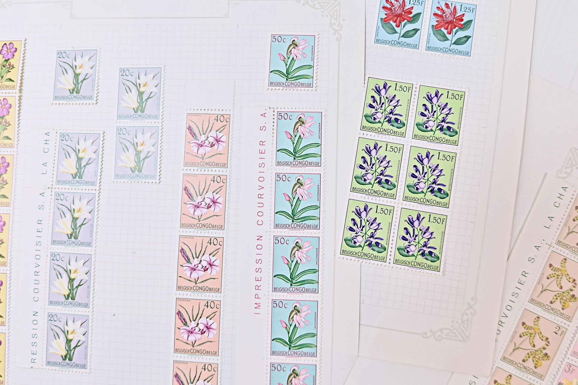 6098 Belgian Congo SG296/317 Set of 22 in Strips 1952. Sc#263/284 Mi295/316 MNH/MH. C£269