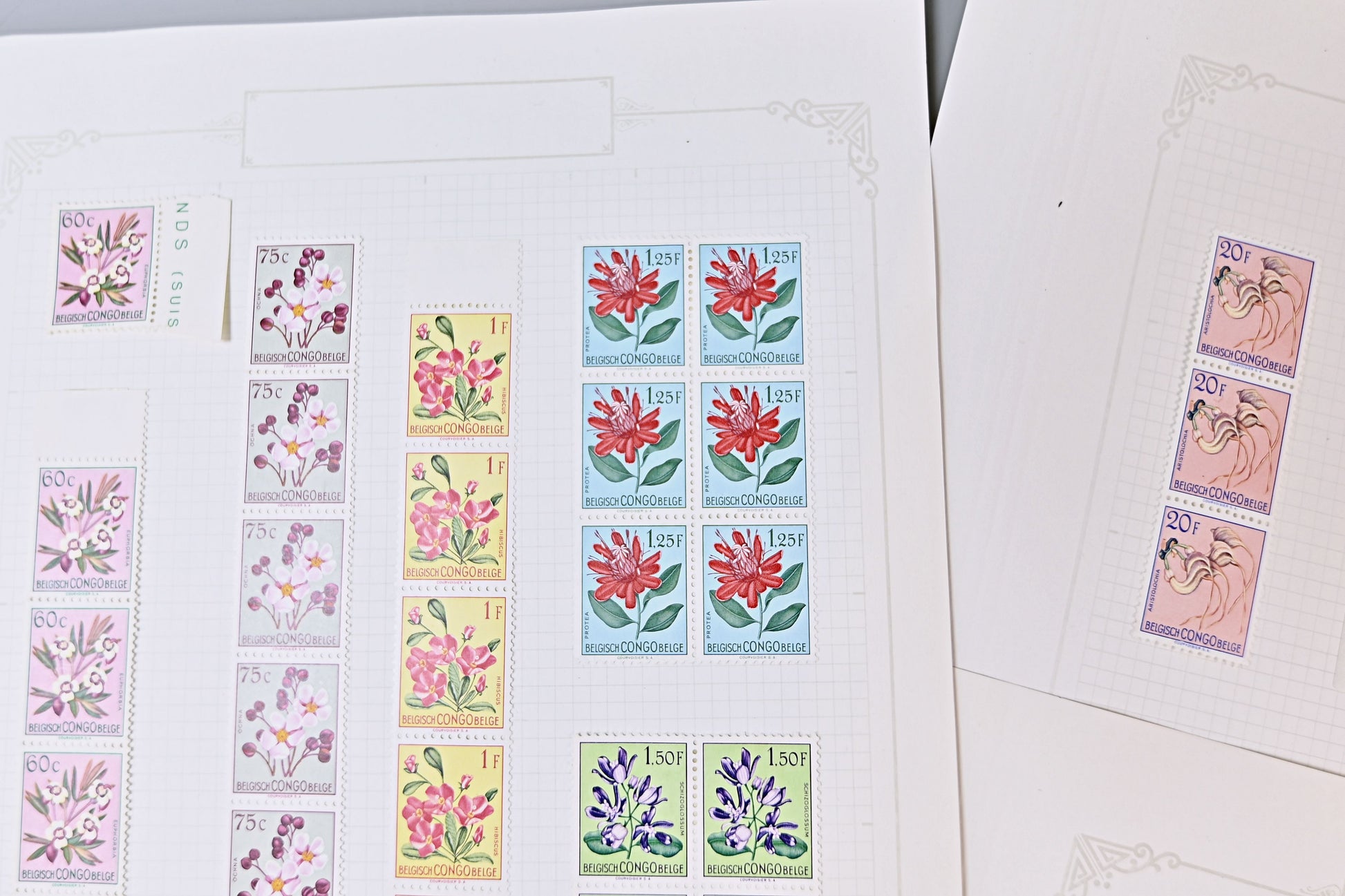 6098 Belgian Congo SG296/317 Set of 22 in Strips 1952. Sc#263/284 Mi295/316 MNH/MH. C£269