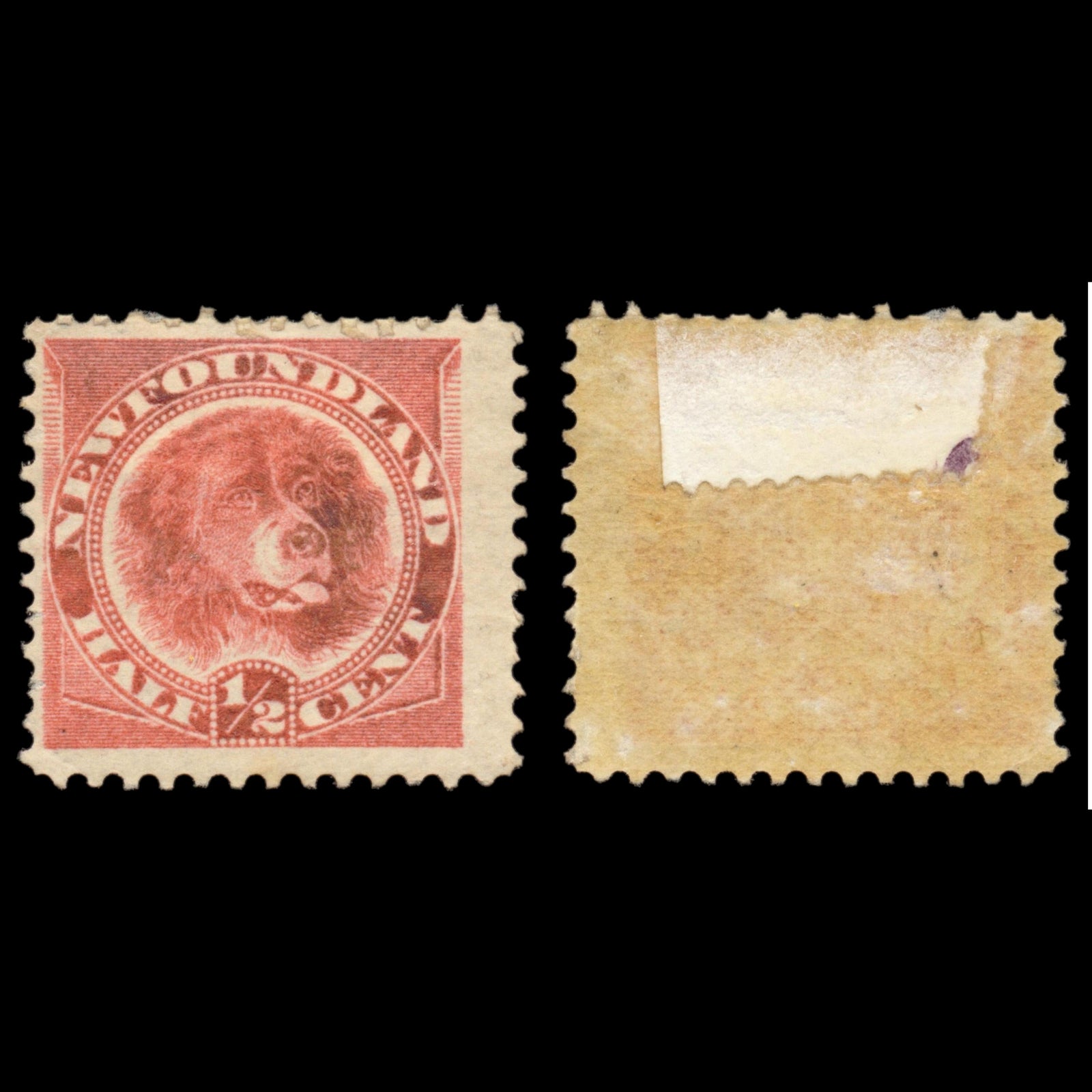 6187 Newfoundland SG49 ½c Rose-Red 1887. Sc#56 Mi35a Mint MH. C£16