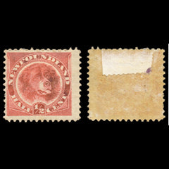 6187 Newfoundland SG49 ½c Rose-Red 1887. Sc#56 Mi35a Mint MH. C£16, view 1