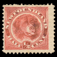 6187 Newfoundland SG49 ½c Rose-Red 1887. Sc#56 Mi35a Mint MH. C£16, view 3