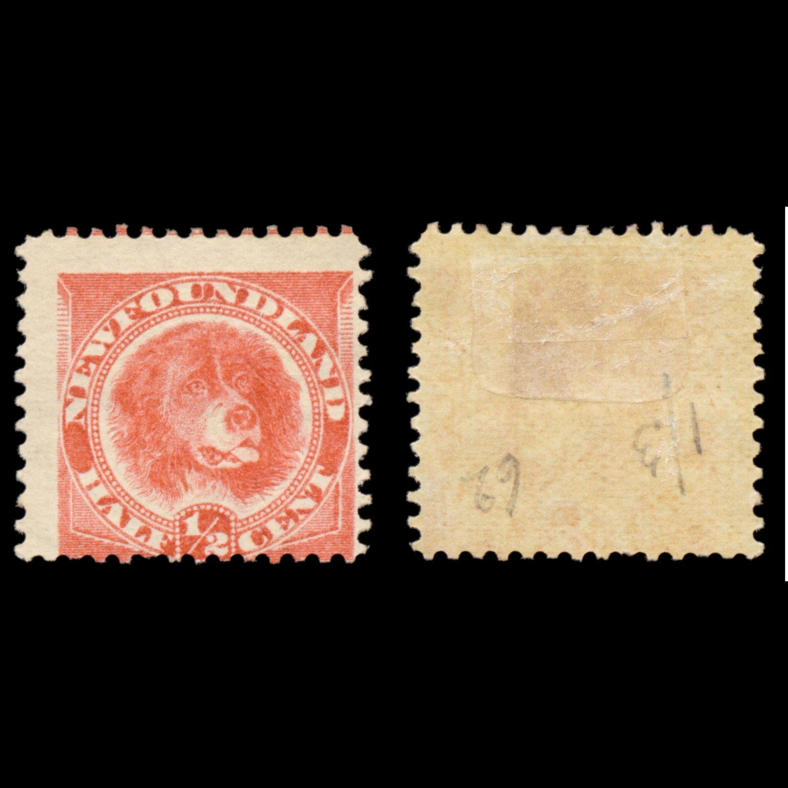 6189 Newfoundland SG62 ½c Orange-Red 1896. Sc#57 Mi35b Mint MH. C£65