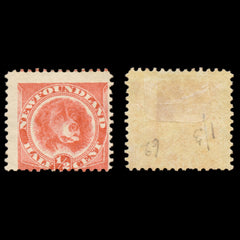 6189 Newfoundland SG62 ½c Orange-Red 1896. Sc#57 Mi35b Mint MH. C£65, view 2