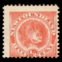6189 Newfoundland SG62 ½c Orange-Red 1896. Sc#57 Mi35b Mint MH. C£65, view 3