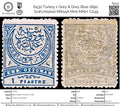 6432 Turkey 1 Grey & Grey Blue 1890. Sc#Unlisted Mi61aA Mint MNH. C£49