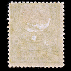 6434 Turkey 2 Greenish Olive & Grey 1890. Sc#90a Mi62aB Mint MH. C£45, view 4