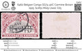 6462 Belgian Congo SG74 40C Carmine Brown 1915. Sc#51 Mi29 Used. C£5