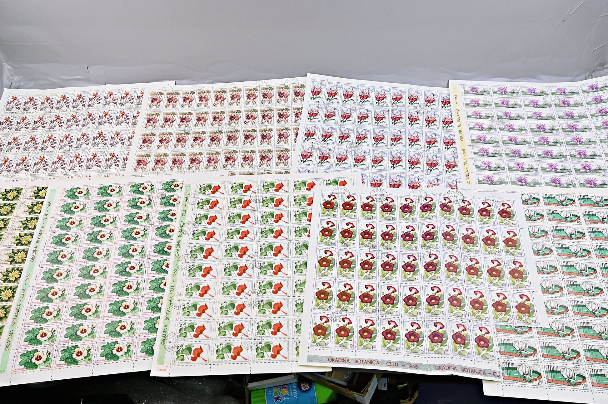 6640 Romania SG3314/3322 1965 Cluj Botanical Gardens Sheets Used. C£65