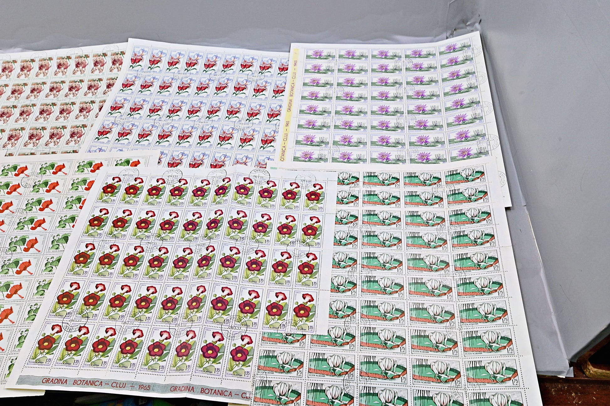 6640 Romania SG3314/3322 1965 Cluj Botanical Gardens Sheets Used. C£65