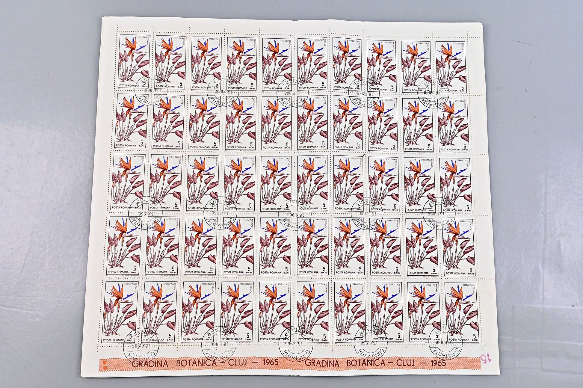 6640 Romania SG3314/3322 1965 Cluj Botanical Gardens Sheets Used. C£65