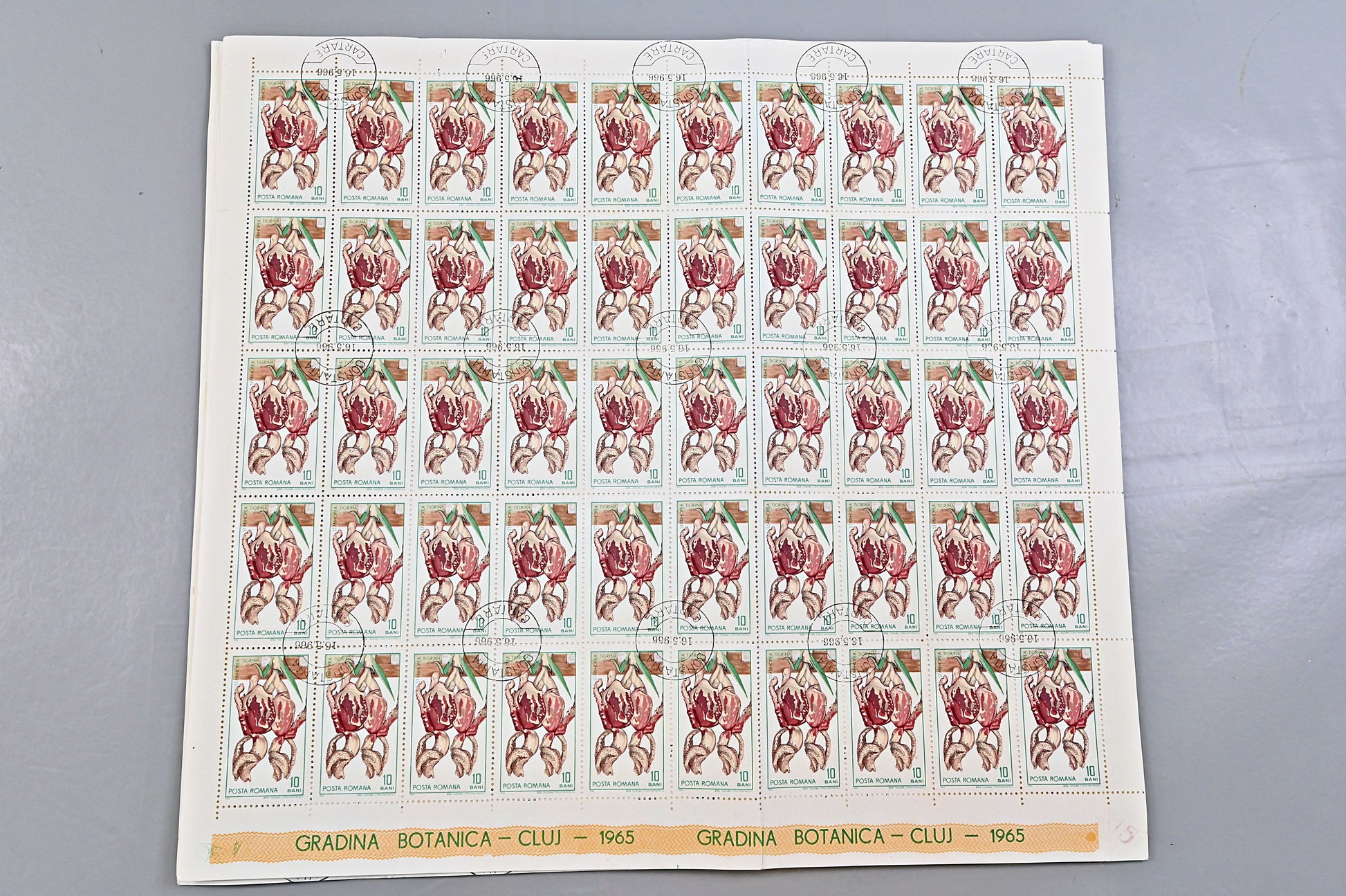6640 Romania SG3314/3322 1965 Cluj Botanical Gardens Sheets Used. C£65