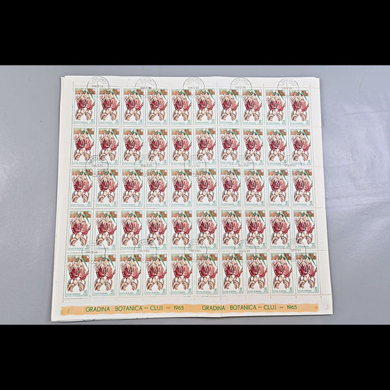 6640 Romania SG3314/3322 1965 Cluj Botanical Gardens Sheets Used. C£65, image 6