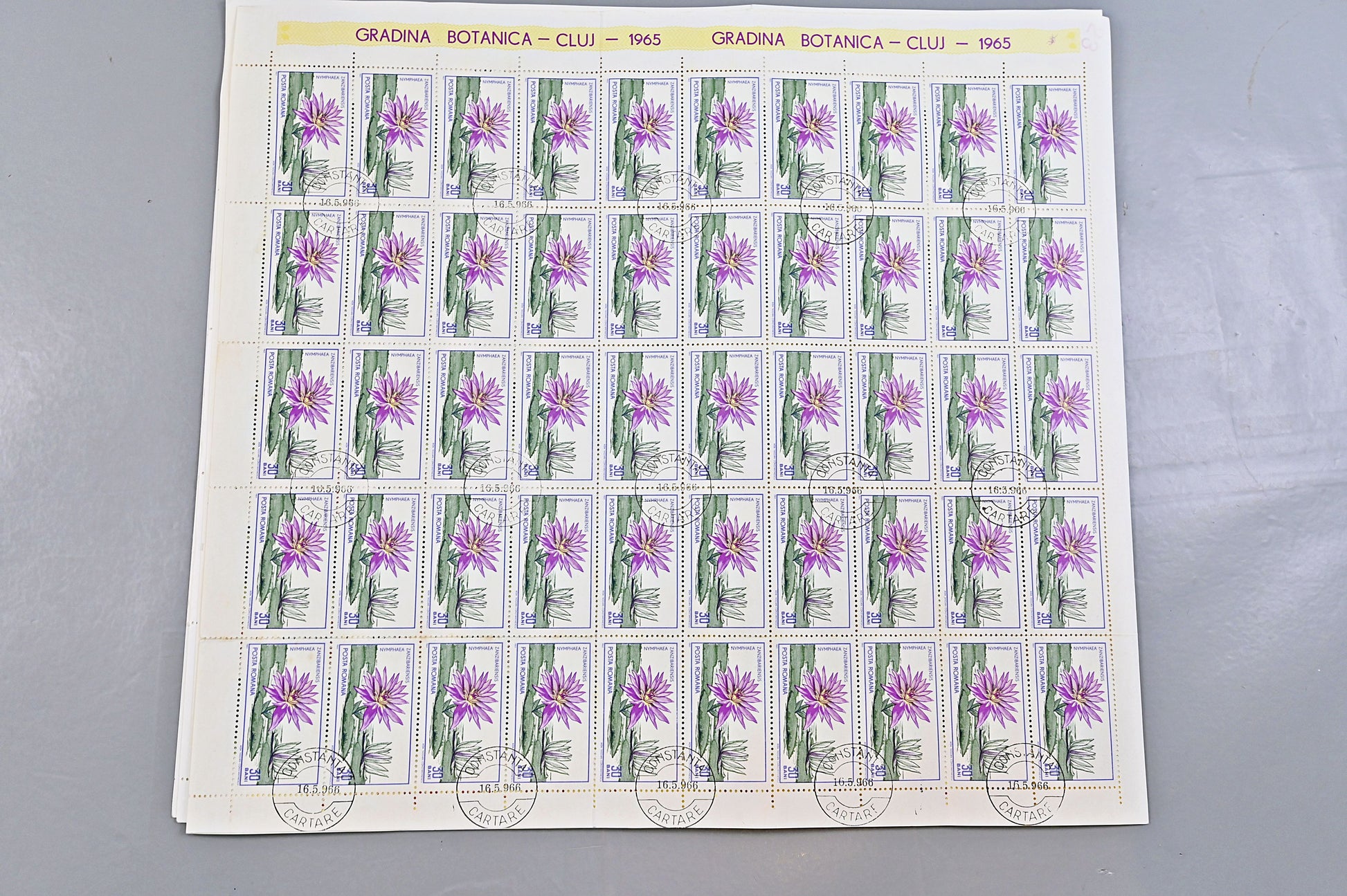 6640 Romania SG3314/3322 1965 Cluj Botanical Gardens Sheets Used. C£65