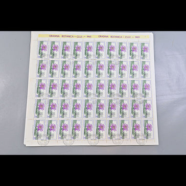 6640 Romania SG3314/3322 1965 Cluj Botanical Gardens Sheets Used. C£65, image 8