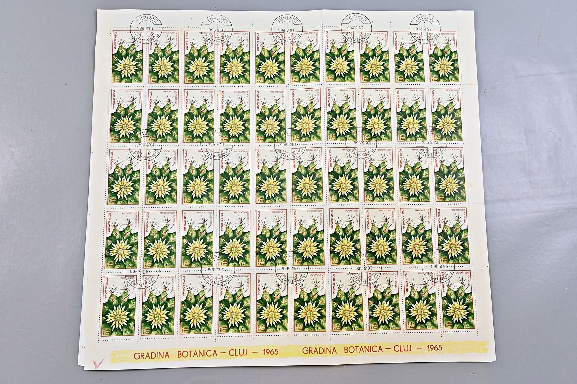 6640 Romania SG3314/3322 1965 Cluj Botanical Gardens Sheets Used. C£65