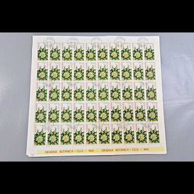 6640 Romania SG3314/3322 1965 Cluj Botanical Gardens Sheets Used. C£65, image 9