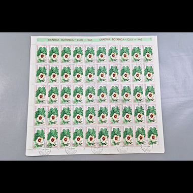 6640 Romania SG3314/3322 1965 Cluj Botanical Gardens Sheets Used. C£65, image 10