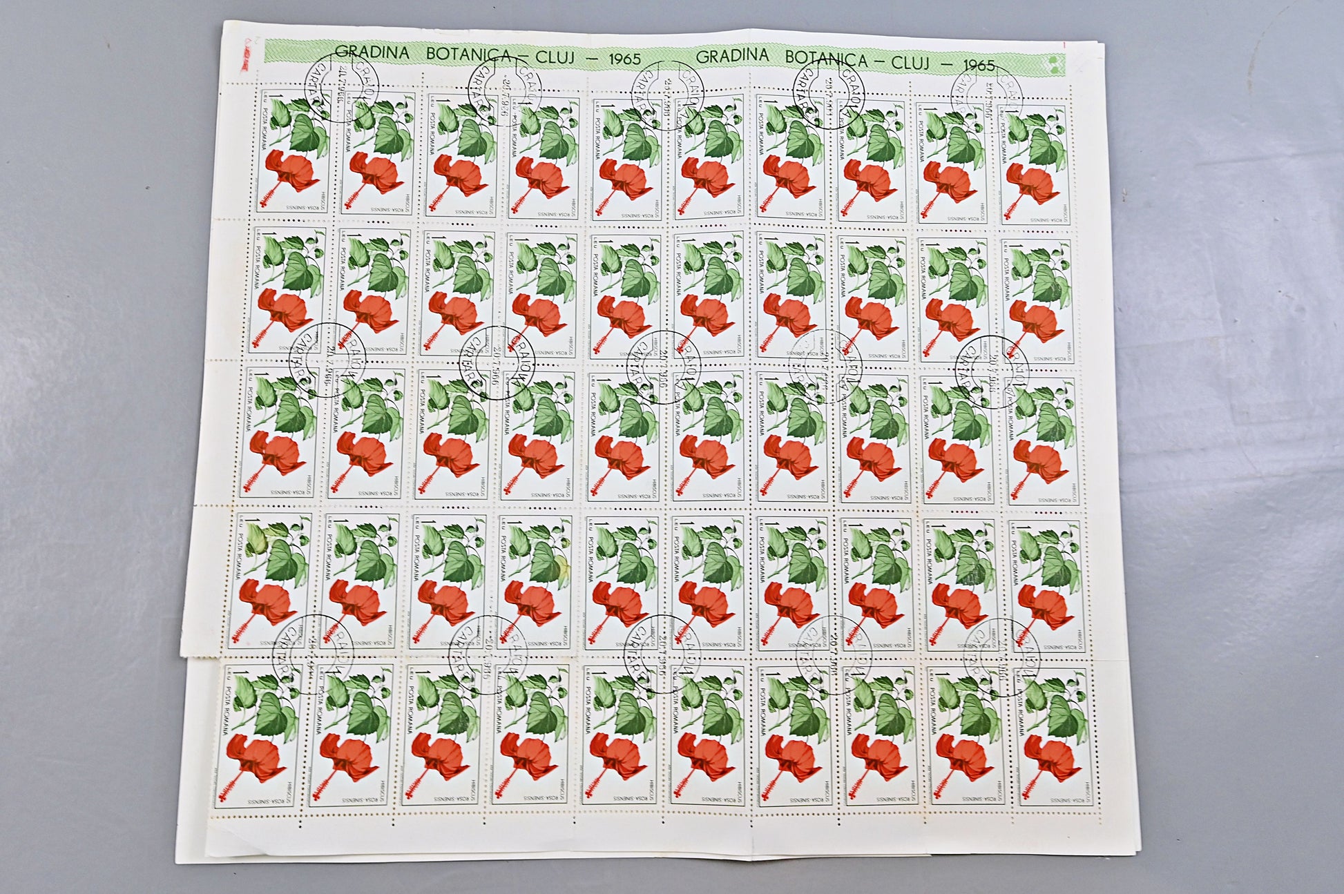 6640 Romania SG3314/3322 1965 Cluj Botanical Gardens Sheets Used. C£65