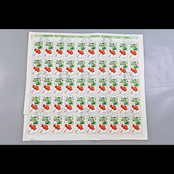 6640 Romania SG3314/3322 1965 Cluj Botanical Gardens Sheets Used. C£65, image 11