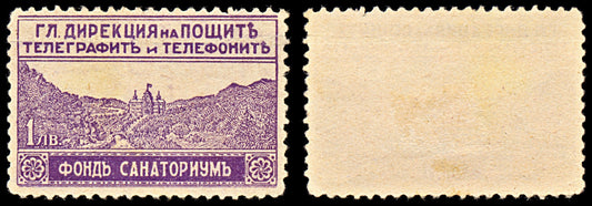 6978 Bulgaria SG268f 1 Lev Violet Brown 1929. Sc#RA5 Mi Z9 Mint MNG. C£16