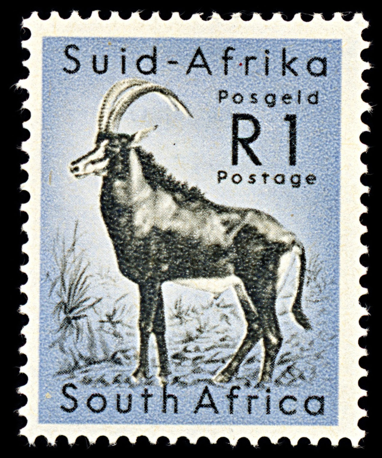 7099 South Africa SG197 1R Black & Cobalt 1961. Sc#253 Mi 286 Mint MH. C£15