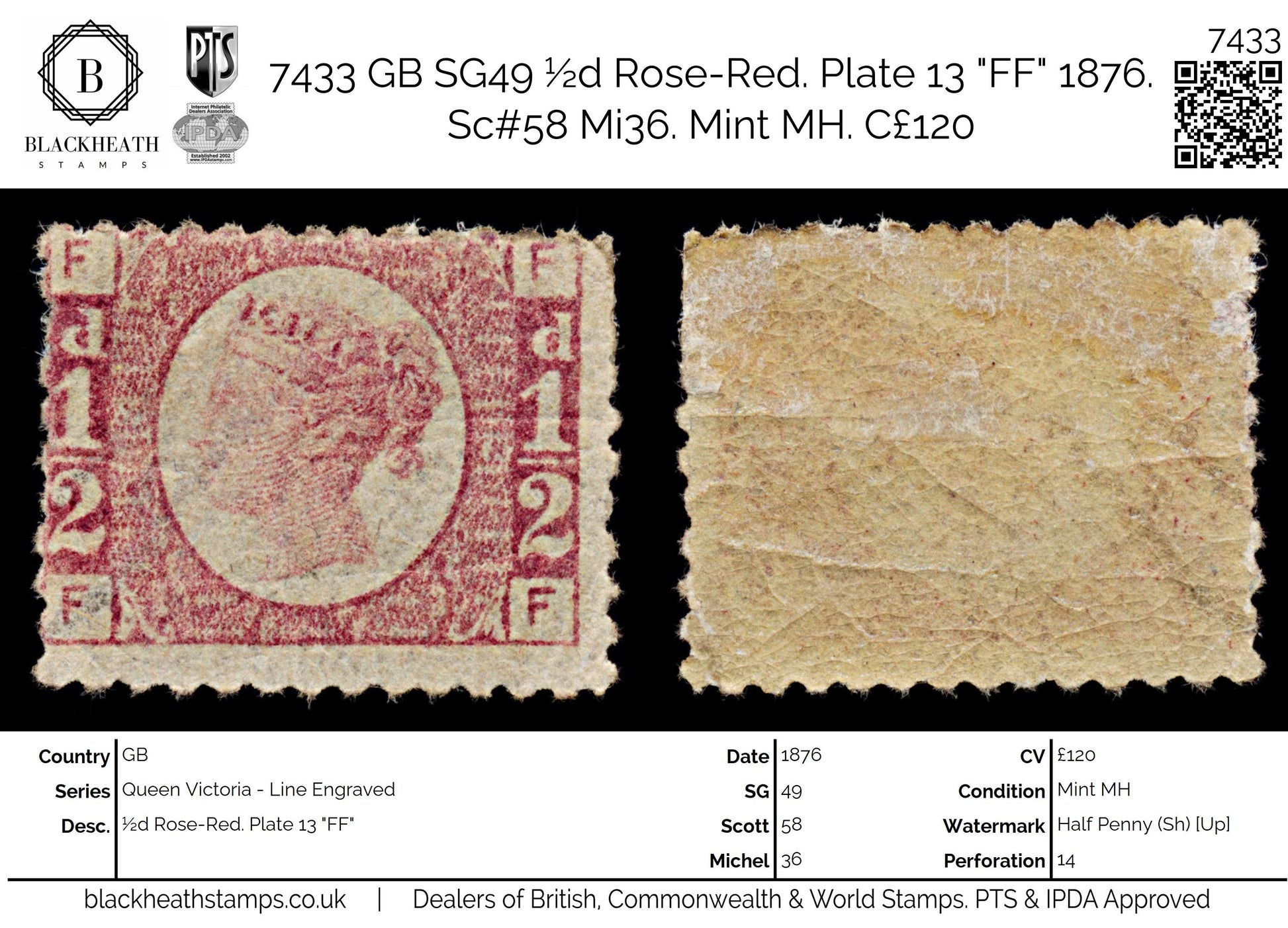 7433 GB SG49 ½d Rose-Red. Plate 13 "FF" 1876. Sc#58 Mi36. Mint MH. C£120