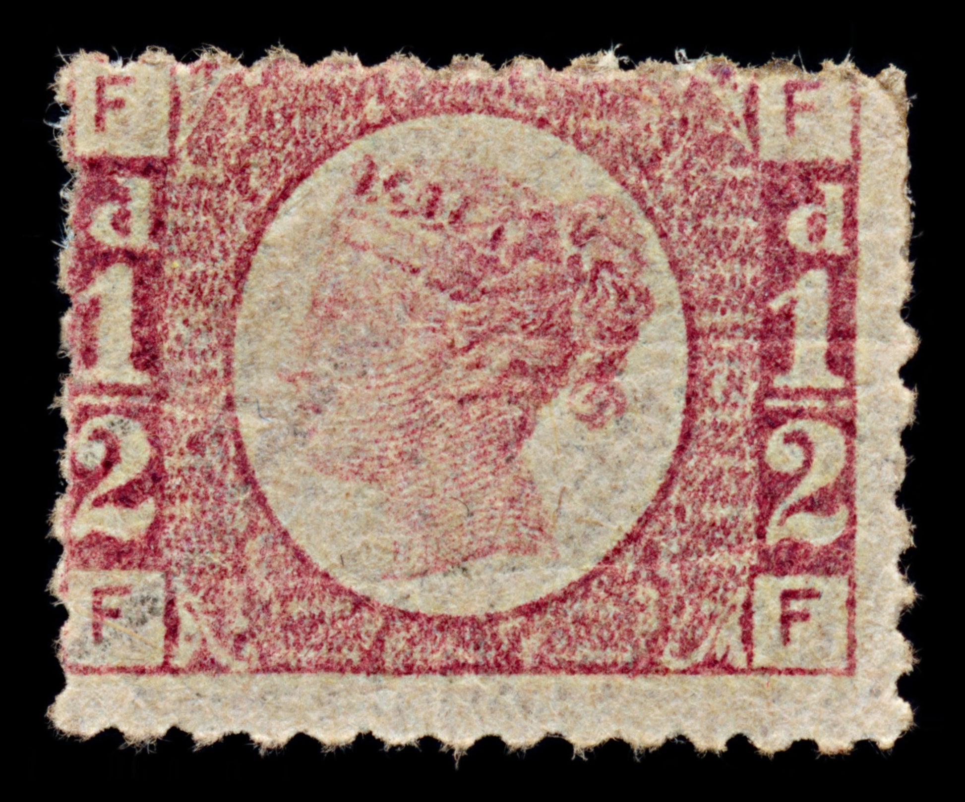 7433 GB SG49 ½d Rose-Red. Plate 13 "FF" 1876. Sc#58 Mi36. Mint MH. C£120