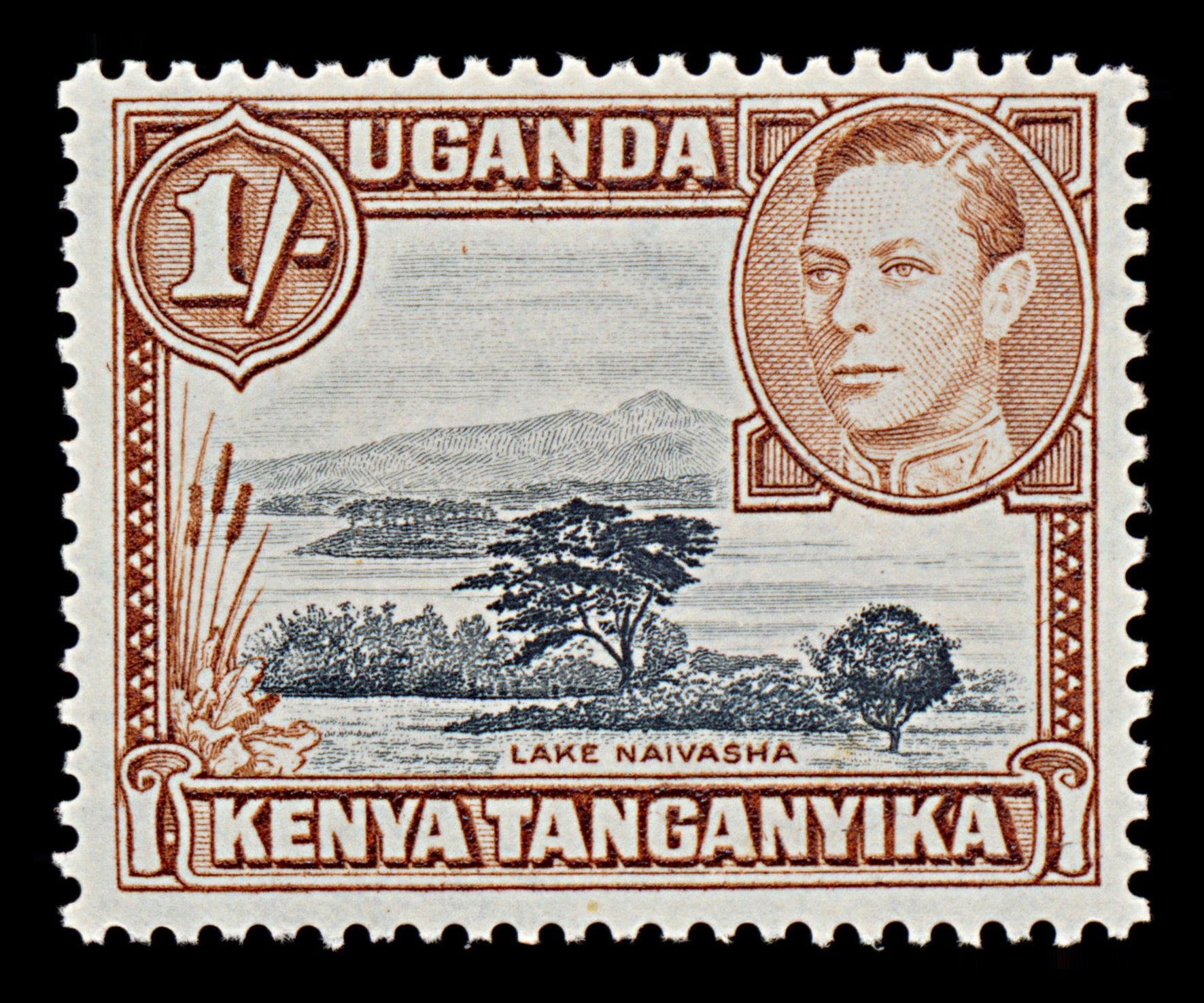 7526 KUT SG145ba 1S Brown & Deep Black 1950. Mint MNH. C£48