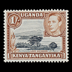7526 KUT SG145ba 1S Brown & Deep Black 1950. Mint MNH. C£48, view 3