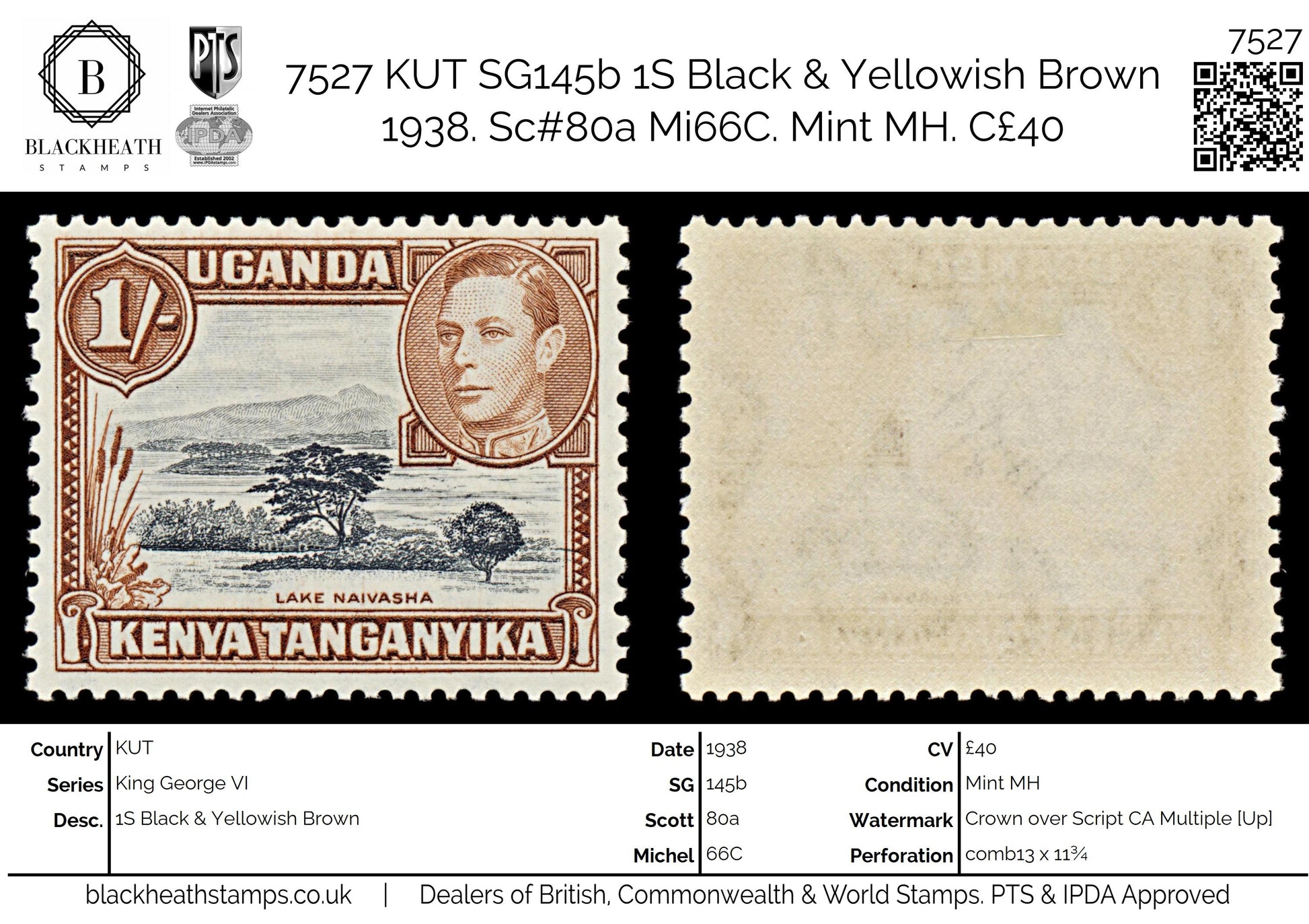 7527 KUT SG145 1S Black & Yellowish Brown 1938. Sc#80 Mi66A. Mint MH. C£40