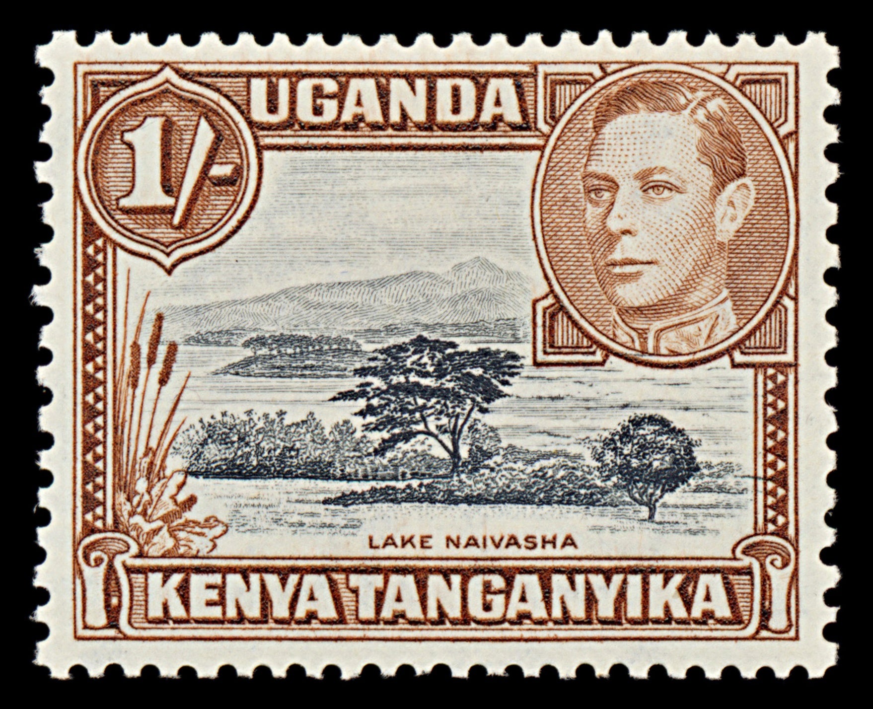 7527 KUT SG145 1S Black & Yellowish Brown 1938. Sc#80 Mi66A. Mint MH. C£40