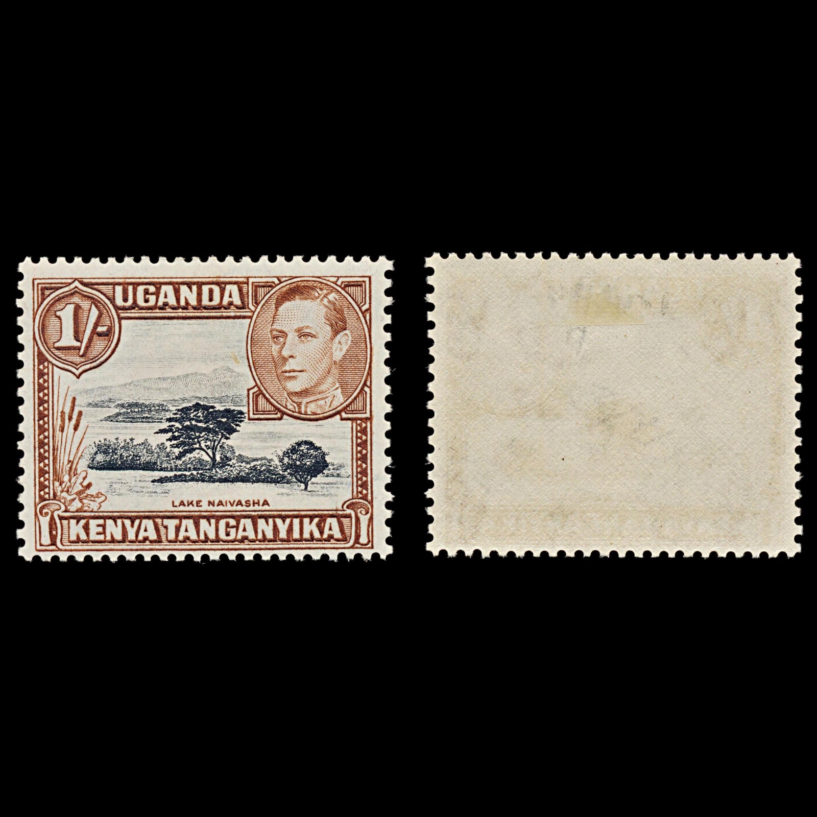 7528 KUT SG145b 1S Black & Yellowish Brown 1949. Sc#80a Mi66C. Mint MH. C£24
