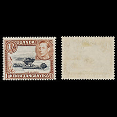 7528 KUT SG145b 1S Black & Yellowish Brown 1949. Sc#80a Mi66C. Mint MH. C£24, view 1