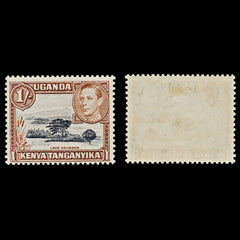 7528 KUT SG145b 1S Black & Yellowish Brown 1949. Sc#80a Mi66C. Mint MH. C£24, view 2