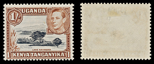 7528 KUT SG145b 1S Black & Yellowish Brown 1949. Sc#80a Mi66C. Mint MH. C£24