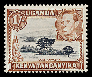 7528 KUT SG145b 1S Black & Yellowish Brown 1949. Sc#80a Mi66C. Mint MH. C£24