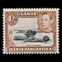 7528 KUT SG145b 1S Black & Yellowish Brown 1949. Sc#80a Mi66C. Mint MH. C£24, view 3