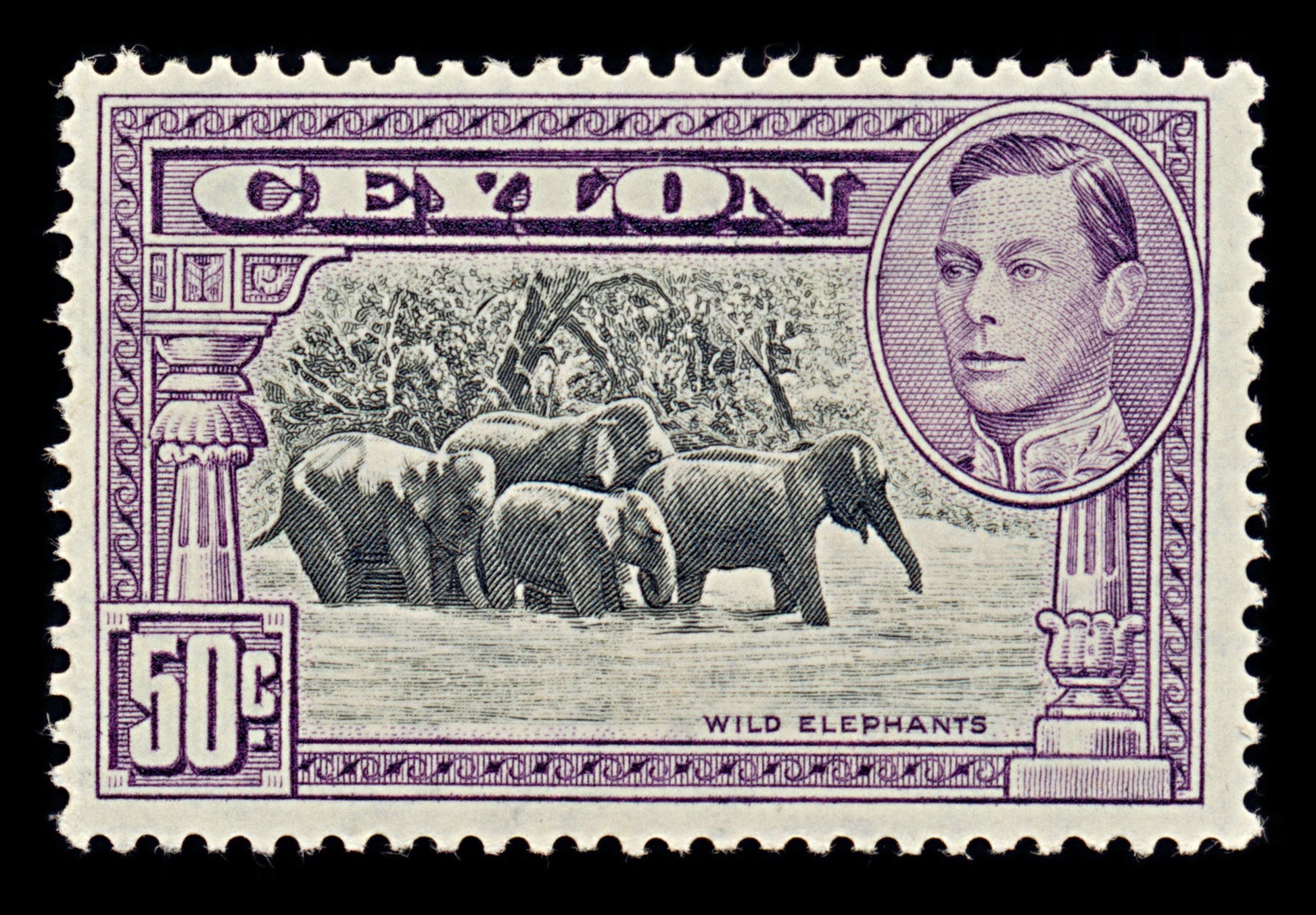 7565 Ceylon SG394b 50C Black & Violet. P11½x13 1938. Sc#286d Mi239D. Mint MH. C£28