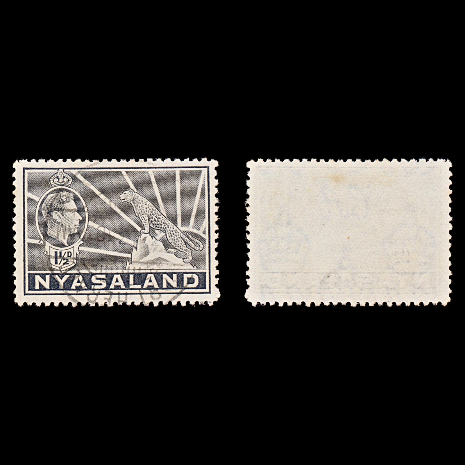 7657 Nyasaland SG132a 1½D Grey 1942. Sc#56A Mi57. Used. C£9