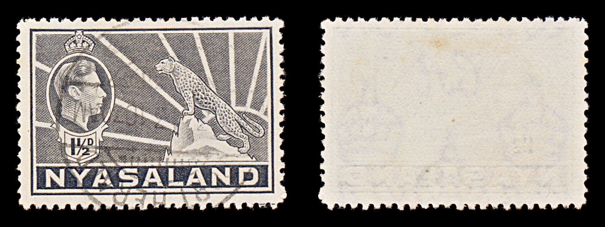 7657 Nyasaland SG132a 1½D Grey 1942. Sc#56A Mi57. Used. C£9