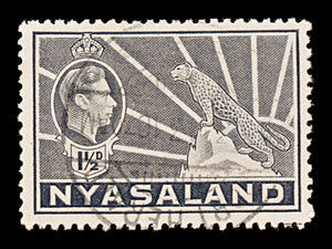 7657 Nyasaland SG132a 1½D Grey 1942. Sc#56A Mi57. Used. C£9