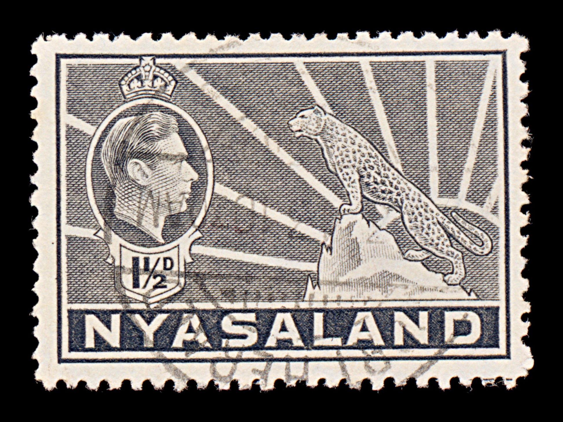 7657 Nyasaland SG132a 1½D Grey 1942. Sc#56A Mi57. Used. C£9